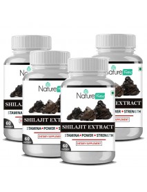 Naturefacts Shilajit-Pack of 4